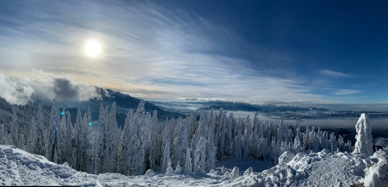 Silver Mountain Poiana Brasov Exterior photo